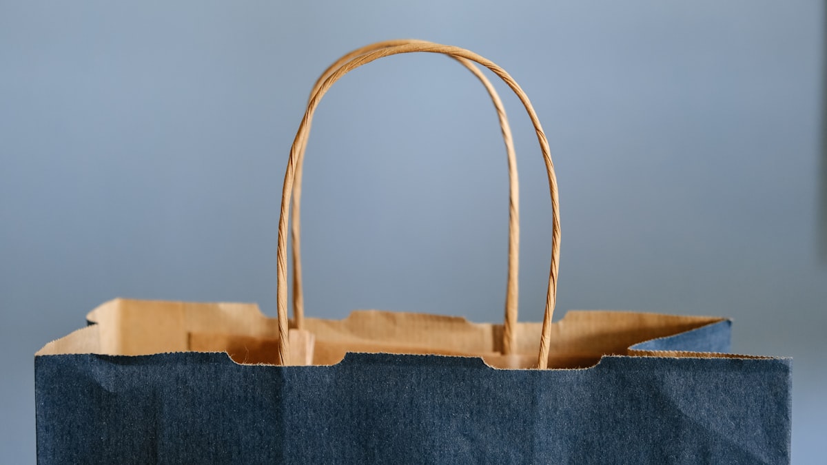 Person holding shopping bags after an online sale delivery