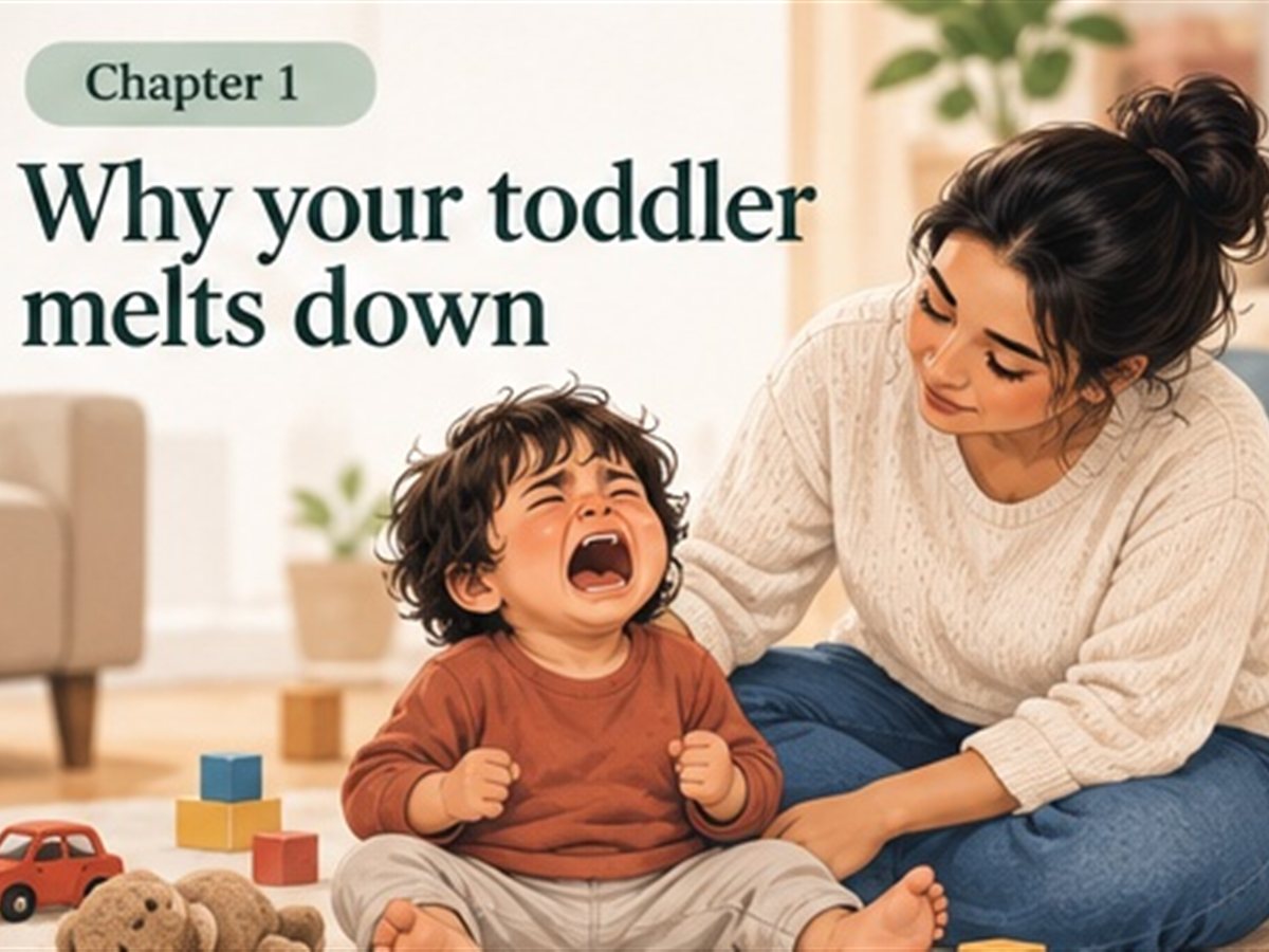 Chapter 1: Why your toddler melts down